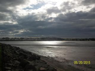 Cottage Jasmine on the Shediac Bay - Shediac - 7