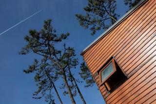Bungalow B2 - Nature, Beach & River - Ofir - 4
