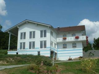 Ferienwohnung Brunner - Grafenau - 0