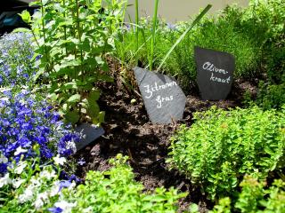 Hotel Villa Monte Vino - 2