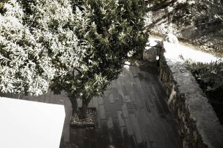 The Bakery Guesthouse - 7