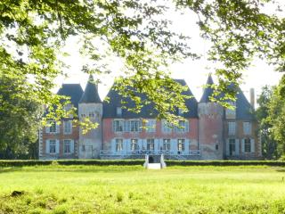 Château de Souesmes - Souesmes - 5