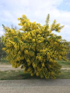 Podere Il Mulino - 4