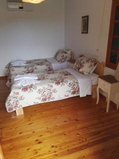 Villa Leonidas just enjoy your holidays - Pitsidia - 7