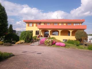 Hotel Baiardo - Romagnano Sesia - 9