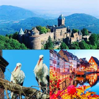 Carpe Diem Bed & Breakfast - Sélestat - 6