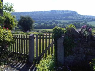 Upper Letton Farm - 9