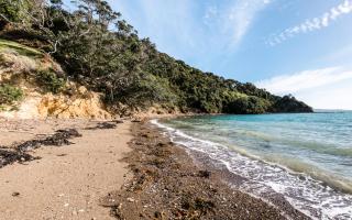 Circular Bay - Awaroa - 8
