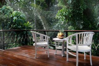 Lovely sunrise 3 bedroom Villa - Ubud - 1