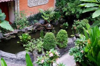 Seminyak Paradiso Hotel - Seminyak - 3