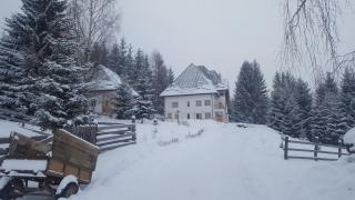 Bonita Chalet - Neagra Şarului - 7