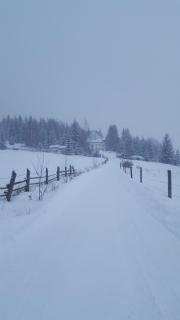 Bonita Chalet - Neagra Şarului - 6
