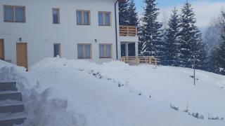 Bonita Chalet - Neagra Şarului - 9