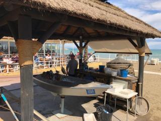 Beautiful modern apartment 100m from the sea - 2