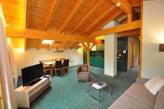 Ferienwohnungen Hotel Alpina - Adelboden - 1