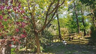 Verdeblu Country Hotel - San Giovanni a Piro - 4