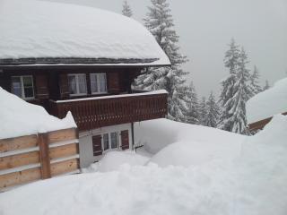 Chalet Grazia - Riederalp - 6