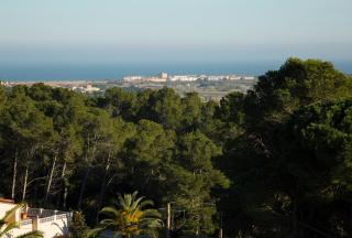 Torre Orquidaceae - Plus Costa Brava - L'Estartit - 5