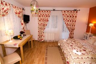 Trubarjev Art Boutique hotel - Laško - 9