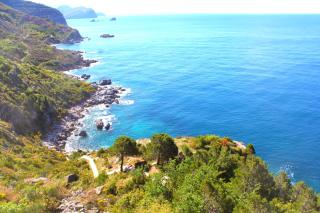 Blue Mediterranean Apartments - Sveti Stefan - 6