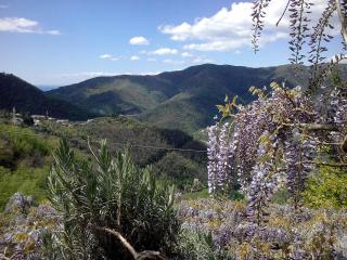 B&B I Glicini - Vescina - 2