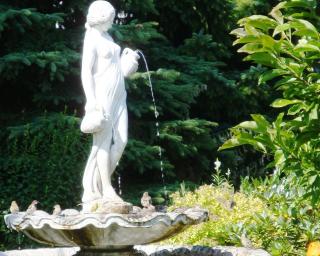 Gartenhaus Dassow - Heringsdorf - 9