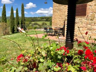 Farmhouse Gello by ToscanaTour - 2