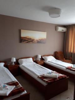 Family Hotel Gogov - 4