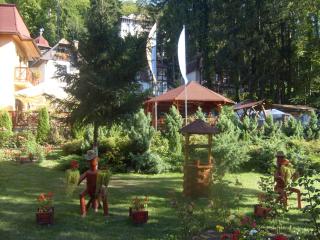 Pensiunea Speranta - 6