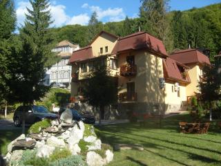 Pensiunea Speranta - 9