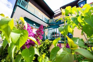 Landgasthof zur Goldenen Traube - Podersdorf am See - 0