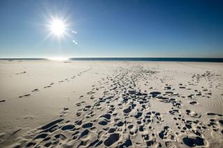Summer Palace B Duplex - Gulf Shores - 0