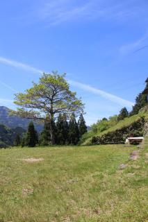 Guesthouse boro-ya - Otoyocho - 5