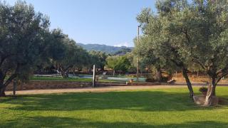 Agriturismo Le Carolee - Pianopoli - 6