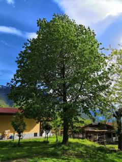 Agriturismo Val Codera - 1