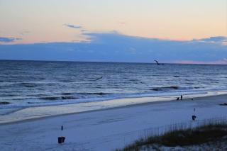 Royal Palms 402 Condo - Gulf Shores - 1