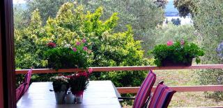 Apartman Rabatin - Sveti Filip i Jakov - 0