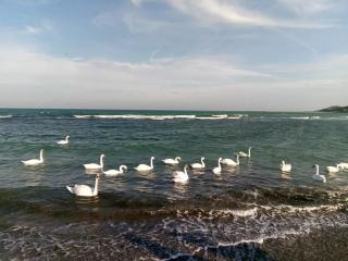 Apartament Maria - 1