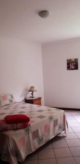 Las Palmeras - 6