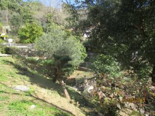 Chiapatella - 3