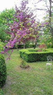 Manoir de la Chapelle - Condé-sur-Sarthe - 2