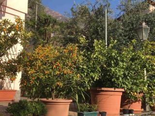 La casa degli ulivi - 3