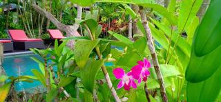 Bali Harmony Villa - 4