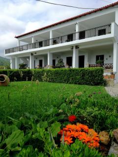 Olga Paltsi Rooms - Paltsi Pilion - 0