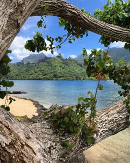 Robinson's Cove Villas - 1