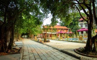 Tam Coc Lavender Homestay - Ninh Binh - 6