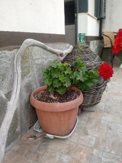 Agriturismo Alla Mal Parata - Albenga - 5