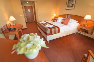 Hotel Spa Hévíz - Hévíz - 1