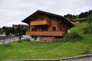Ferienwohnungen Hotel Alpina - Adelboden - 4
