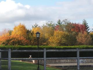 Chambres d'hôtes La Colinière - 2